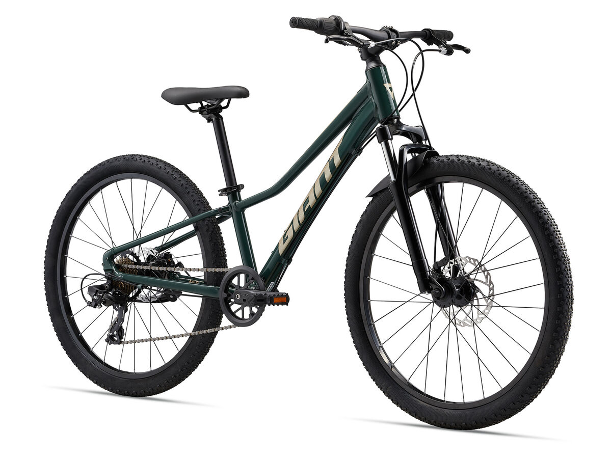 2024 Giant Talon 24 Disc MTB Buy Online At Casey Cycles Cranbourne