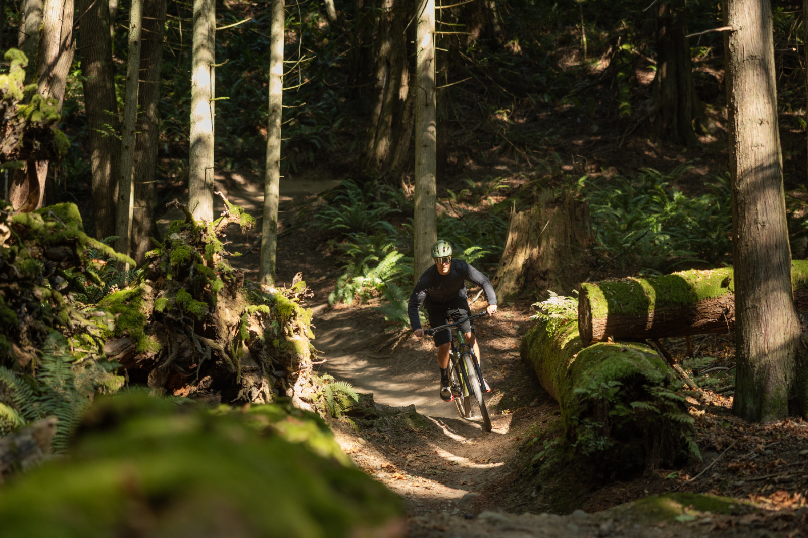 Shop for hardtail mountain bikes in Melbourne at Casey Cycles, shop online or visit our local bike store today in the south east suburb of Cranbourne.