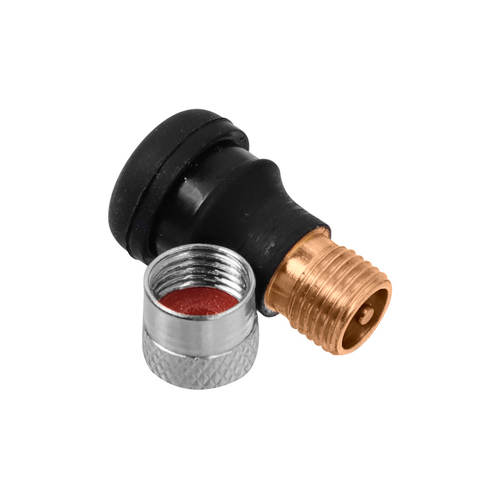 Electric Scooter Tubeless Valve Stem