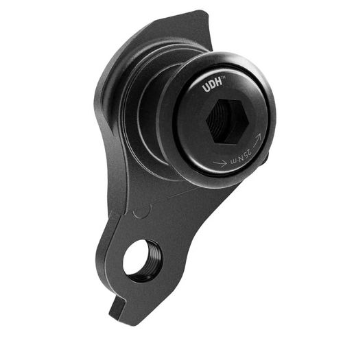 Rear Derailleur Hanger ALLOY/PLASTIC as per Sram OEM - for UDH, M12 x P1.0, matt black, w/screw & washer