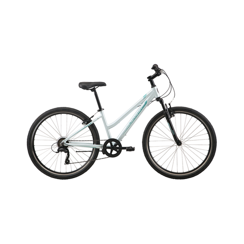2025 Malvern Star Storm 1 MTB - Silver