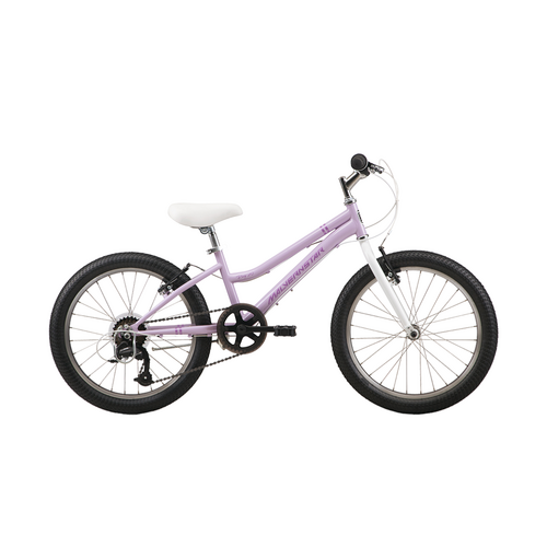 2025 Malvern Star Roxy Girls 20" - Pink