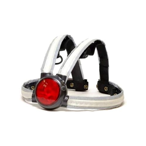 CLEARANCE  -  LIGHT for your back or Backpack, VEGLO, USB powered multi function, strap-on light