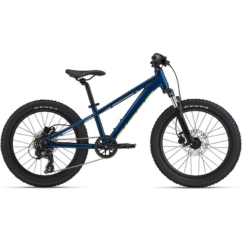 Giant STP 20 Boy's 20" MTB - Blue Palace