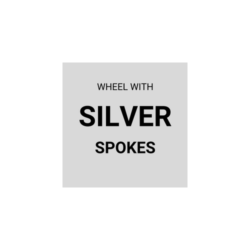 WHEEL  26" Alex DM-18 D/w Eyeleted Alloy Silver Rim , Q/R Screw On MultiSpeed Silver Hub , Silver mach1 Spokes , (Matching Front 93687)