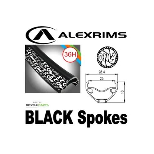 WHEEL - 29er Alex MD23 36H P/j Black Rim,  FRONT DYNAMO Q/R (100mm OLD) 6 Bolt Disc Sealed SP Black Hub,  Mach 1 BLACK Spokes