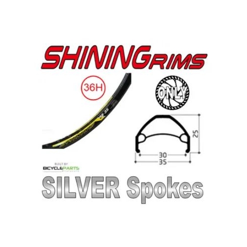 WHEEL - 26" Shining DB-35 36H P/j Black Rim,  8/10 SPEED Q/R (135mm OLD) 6 Bolt Disc Loose Ball Joytech Black Hub,  Mach 1 SILVER Spokes