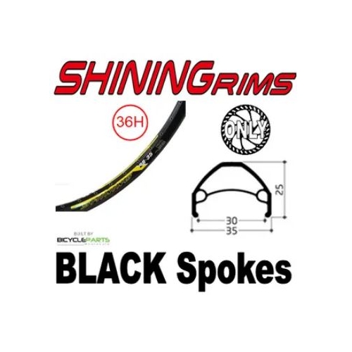 WHEEL - 26" Shining DB-35 36H P/j Black Rim,  FRONT Q/R (100mm OLD) 6 Bolt Disc Sealed Novatec Black Hub,  Mach 1 BLACK Spokes