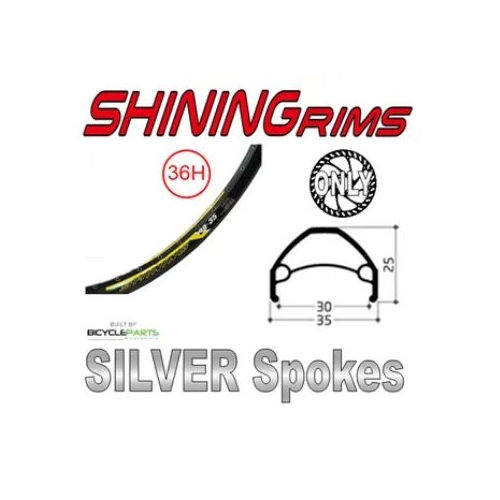 WHEEL - 26" Shining DB-35 36H P/j Black Rim,  1 SPEED CASS Nutted (135mm OLD) 6 Bolt Disc Sealed Novatec Black Hub,  Mach 1 SILVER Spokes