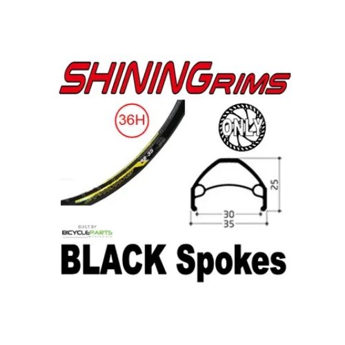 WHEEL - 26" Shining DB-35 36H P/j Black Rim,  1 SPEED CASS Nutted (135mm OLD) 6 Bolt Disc Sealed Novatec Black Hub,  Mach 1 BLACK Spokes