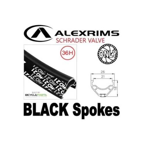 WHEEL - 29er Alex MD21 36H P/j Black Rim with Eyelets, Schrader Valve,  FRONT Q/R (100mm OLD) 6 Bolt Disc Loose Ball Joytech Black Hub, BLACK Spokes