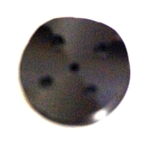 R1/TH1 2010 MC RESERVOIR COVER