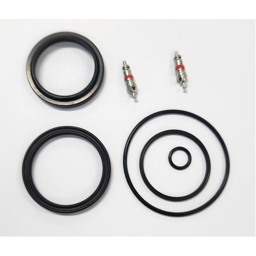 Rear shock - EDGE PLUS AIR SEAL KIT