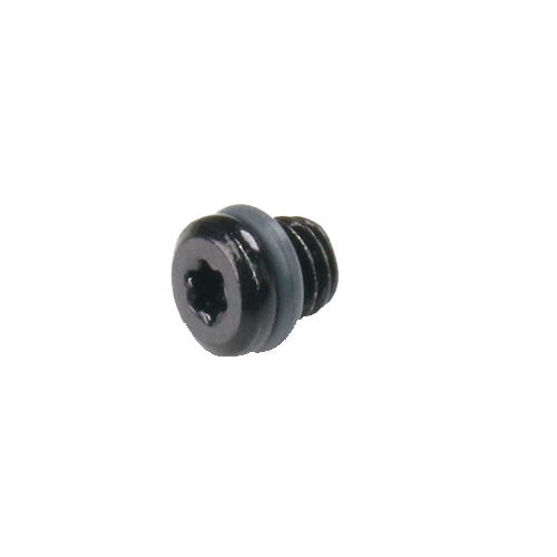 TRP Bleed port screws, for TRP metal reservoir cover & HD-M745 type using, M6 x 5.5mm. Not for HD-EU8XX/HD-E730 Dorado/HD-E745 Auriga/HD-T910 Mod.ABOT