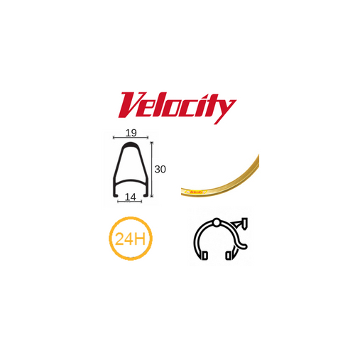 RIM 700c x 14mm - VELOCITY DEEP V - 24H - (622 x 14) - Presta Valve - Rim Brake - D/W - GOLD (Anodised) - MSW