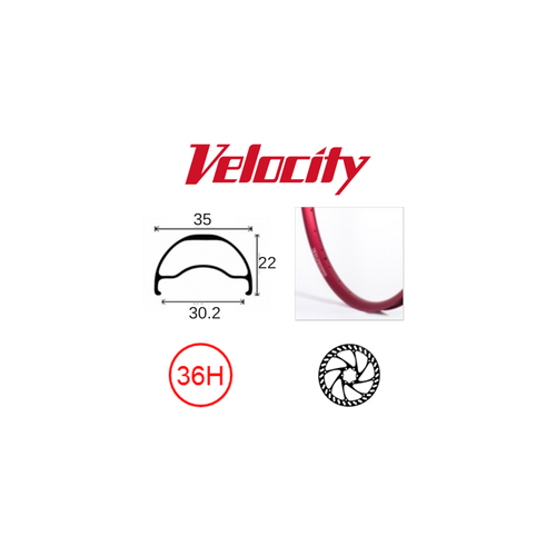 RIM 29er x 30mm - VELOCITY BLUNT 35 - 36H - (662 x 30) - Presta Valve - Disc Brake - D/W - RED - Tubeless Ready - (ERD 597)