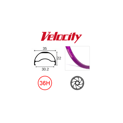 RIM 29er x 30mm - VELOCITY BLUNT 35 - 36H - (662 x 30) - Presta Valve - Disc Brake - D/W - PURPLE - Tubeless Ready - (ERD 597)