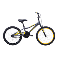 Children's 20" Bikes