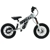 Children's Electric Bikes
